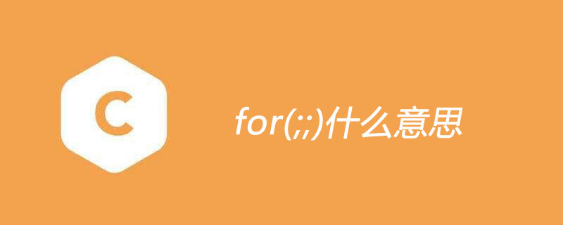 for什么意思