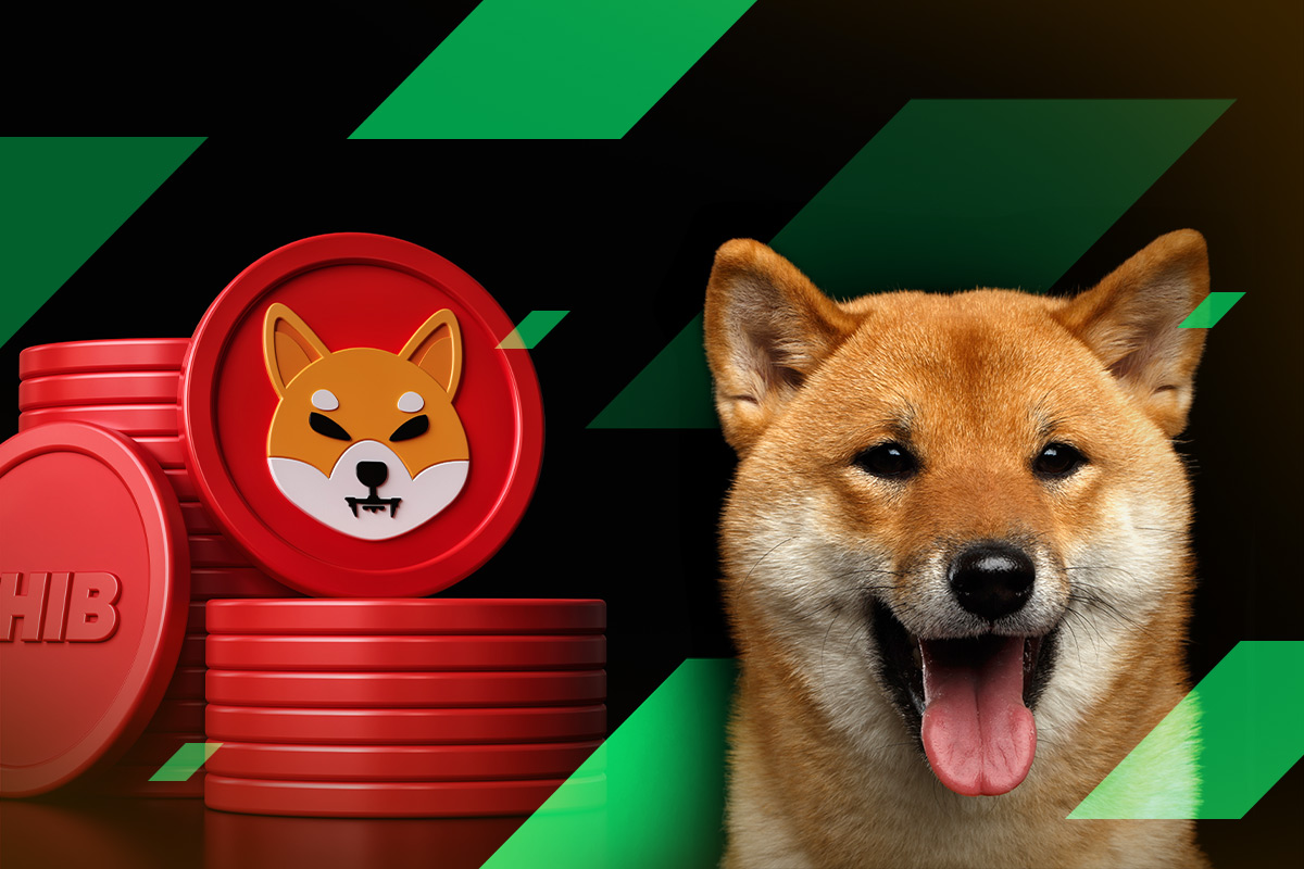 Shiba Inu SHIB Price Jumps 4 As Lead Dev Shytoshi Kusama Announces