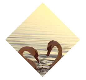 1480492848332521.png css平行四邊形與菱形變換