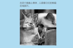 1543393763686924.gif css如何剪切元素?lip屬性的使用