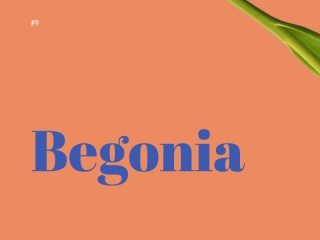 1484720719782748.gif 18種以anime.js為基礎的文字動畫特效