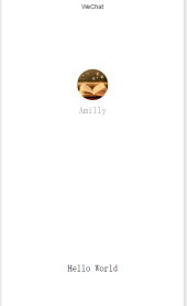 WeChat 미니 프로그램에 대한 간략한 토론 WeChat 미니 프로그램에 대한 간략한 토론