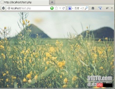 1496718190977735.png WebページにCSSの背景画像と背景色を設定する方法