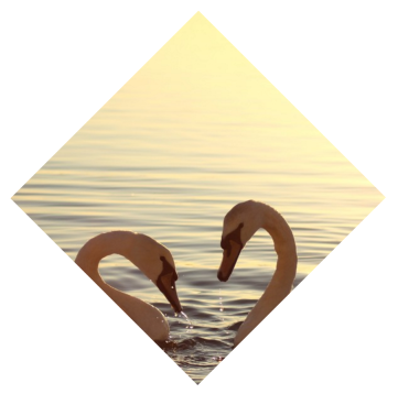 1480492822457768.png css平行四邊形與菱形變換