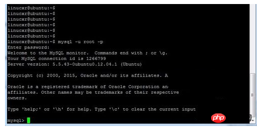 How to change the MySQL database password?