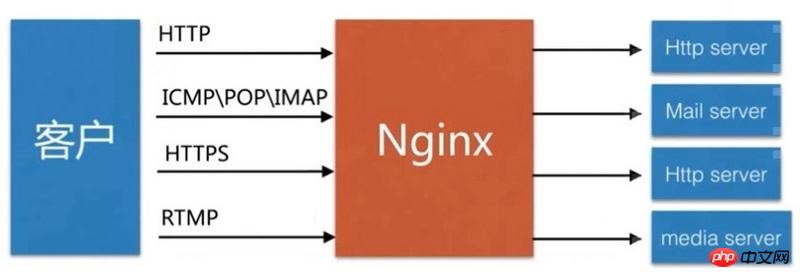 Was ist ein Nginx-Proxy-Dienst? Beispiele für Nginx-Forward-Proxy und Reverse-Proxy