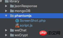 PHP ruft PhantomJS auf, um es mit dem WeChat-Applet zu teilen