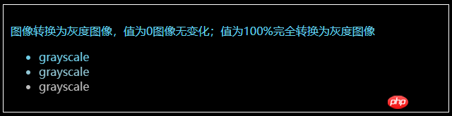 要素の視覚効果を定義する CSS のフィルター属性の概要