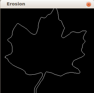 Corrosion and expansion of java images