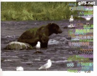 1520930077443496.gif H5 캔버스를 사용하여 사격 효과 만들기