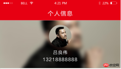 css3 filter属性给图片添加毛玻璃模糊效果实例介绍 css3 filter属性给图片添加毛玻璃模糊效果实例介绍