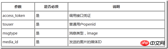 Force.com WeChat 開発シリーズのカスタマー サービス インターフェイス