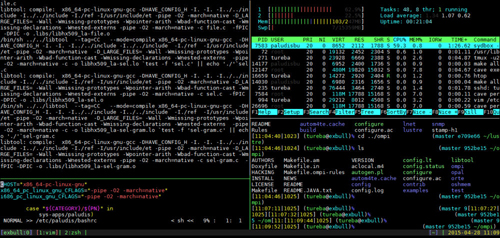 Master shell applications and Linux is at your disposal