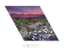 jQueryで画像の回転角度効果を制御できる jQueryで画像の回転角度効果を制御できる