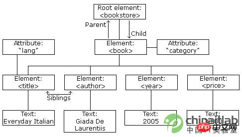 XML development basics-XML tree structure