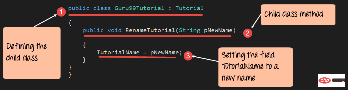 What is inheritance in C#? What does C# inheritance mean?