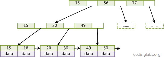 Explication détaillée de la structure des données et des principes algorithmiques derrière les index MySQL