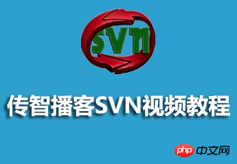 Chuanzhi Podcast SVN video tutorial courseware source code recommendation