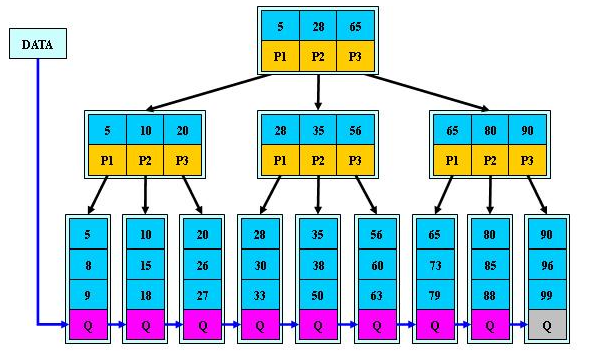 phpデータベースの基本