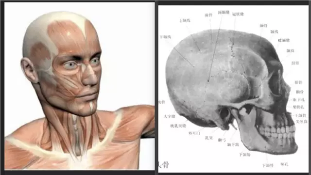 PSフォトレタッチ丨雑誌の表紙モデルをレタッチした様子です