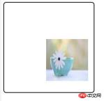 1541573493413121.jpg CSS3における背景画像位置のbackground-positionの使い方の紹介