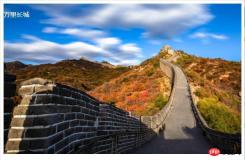 1541656610184166.jpg How to add text on image using HTML and CSS? (code example)