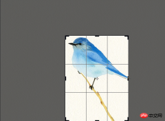 1532673251889823.png 39ed8ad80c1be6c1650c4c60610734e.png