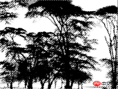 1534751872561867.png PS Day 02: 複雑な森を切り出す方法をご覧ください。