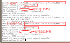 在Linux中搭建一个FTP服务器 在Linux中搭建一个FTP服务器