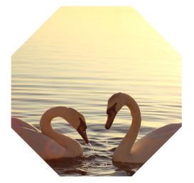 1480492803710581.png css平行四邊形與菱形變換