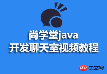 Java 개발 채팅방 비디오 튜토리얼의 자원 공유