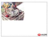 1539930429603089.jpg How to center the background image in css? Introduction to the method of centering the background image (code example)