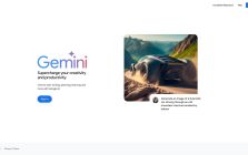Gemini