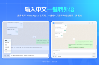 Ai销售助手 for WhatsApp