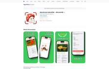 Mushroom Identifier - ShroomID