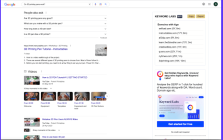 Semantic Pen Domain Age Extension
