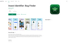 Insect Identifier: Bug Finder