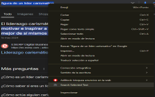 Web Text Selector Extension