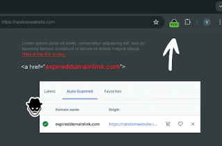 Domain Detective