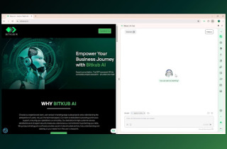 Bitkub Moonshot AI Assistant