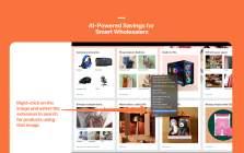 Image Search Tool