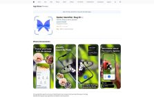 Bug Identifier