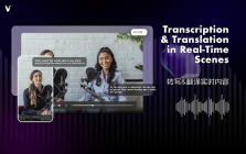 ViiTor Real-time Translation Plugin