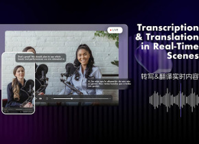 ViiTor Real-time Translation Plugin