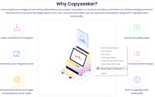Copyseeker Image Search