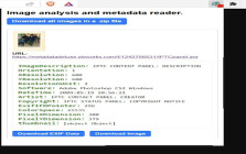 Ripper Web Content