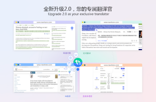 NewTranx Browser Translator Plugin
