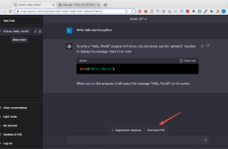 Chat-GPT PDF Extension