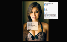 Image Search Extension