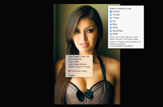 Image Search Extension